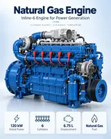 Weichai WP6D132E301NG 6-Cylinder Natural Gas Engine (120 kW)