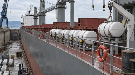 SOLAS Liferaft Renewal Programme for a Merchant Fleet